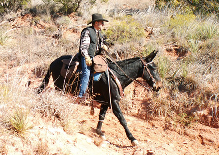 Laney Trail Riding